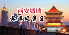日逼屌毛中国陕西-西安城墙旅游风景区