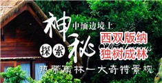 用劲日女人逼网