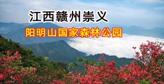 抽烟姑娘操逼视频